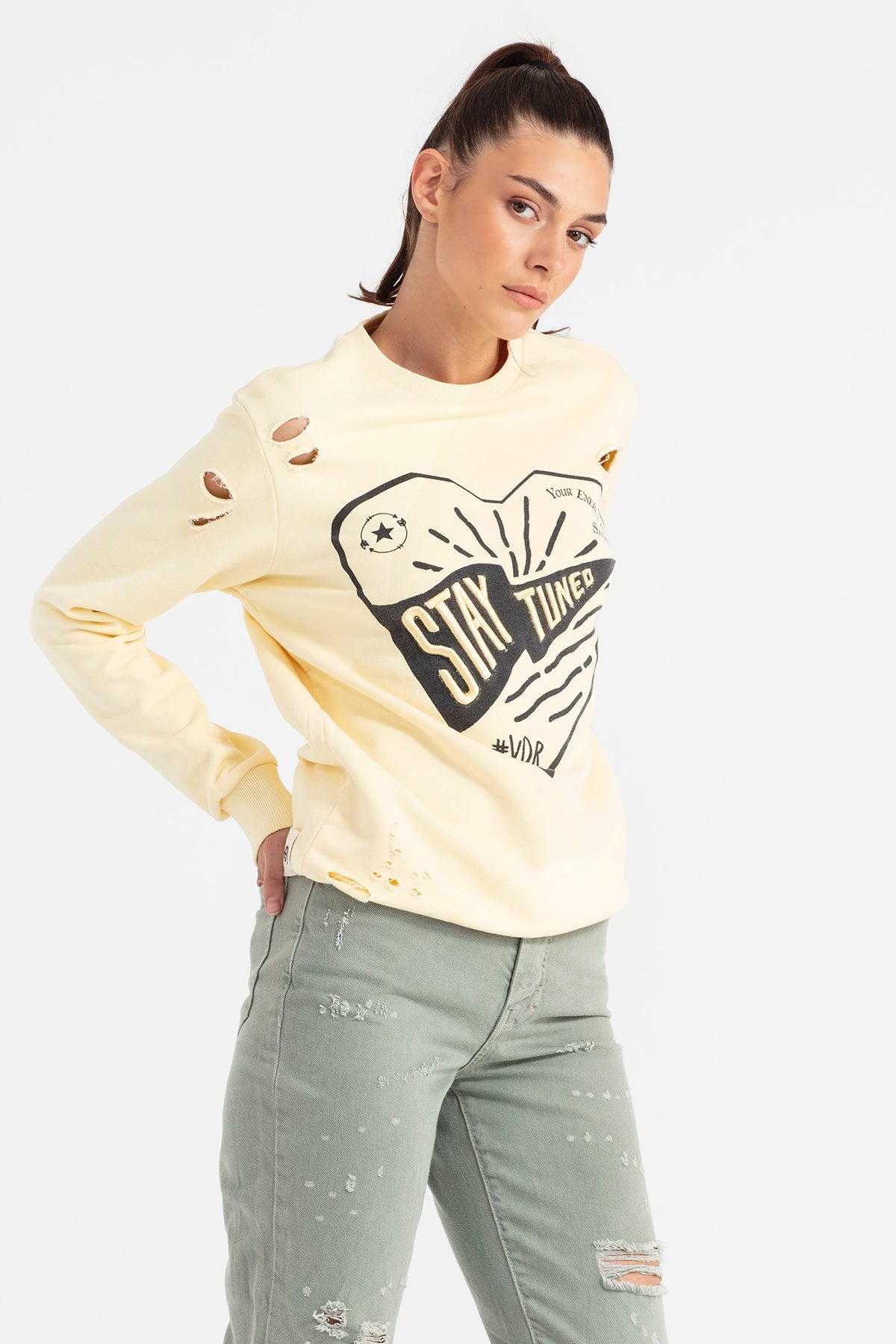 Pastel Sari  Sweatshirt 11228